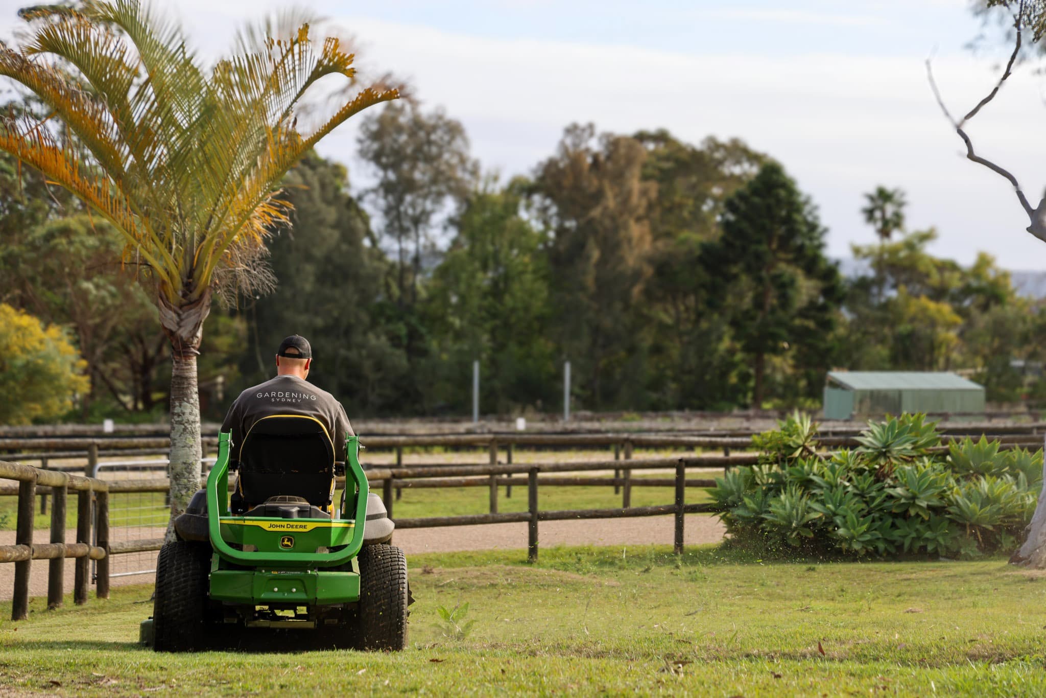 Gardening Sydney crew member on a ride-on mower